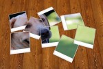 Photoshop – Polaroids