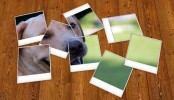 Photoshop – Polaroids