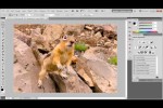Photoshop – Masking