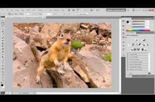 Photoshop – Masking
