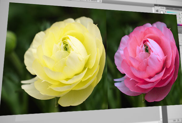 Photoshop – Match Color Matchcolor