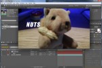 After Effects – Track Motion