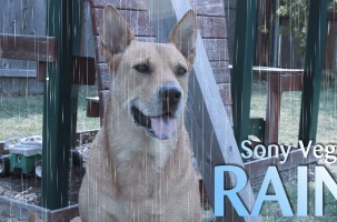 Sony Vegas – Make It Rain