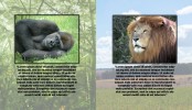 Photoshop – Layer Comps