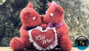 Sony Vegas: Vintage Valentine’s Effect