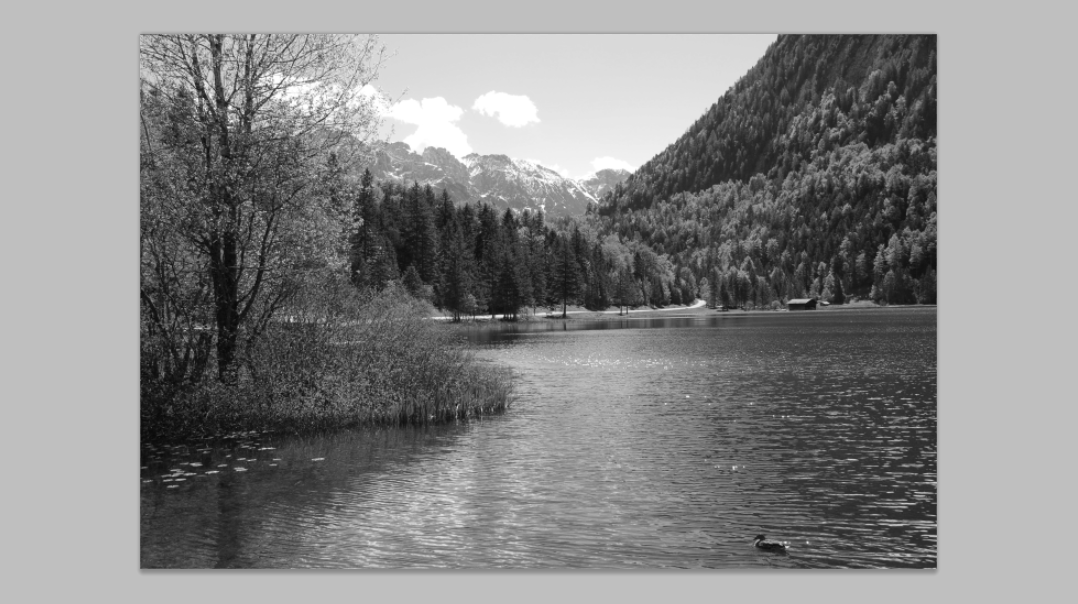 Black and White Photoshop: Negative Illusion