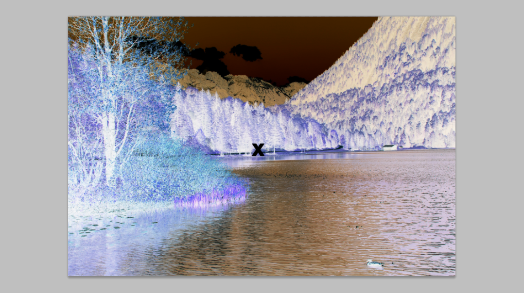 X Photoshop: Negative Illusion