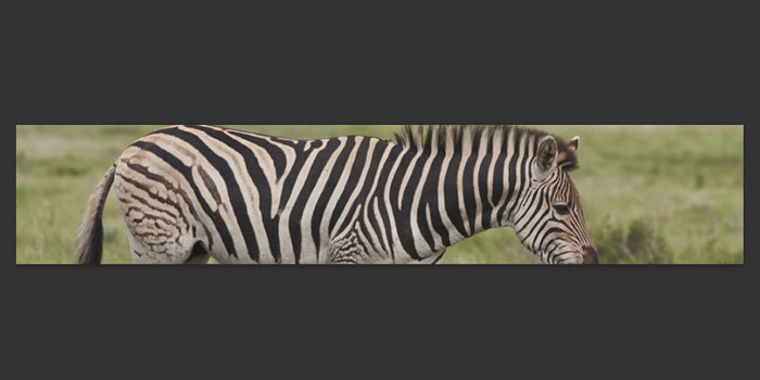 Photoshop: Creative Google+ Cover Photo