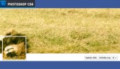 Photoshop: Creative Facebook Timeline Cover