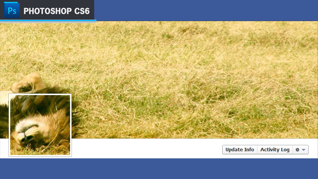 Fbcoverthumb
