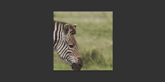 Photoshop: Creative Google+ Cover Photo