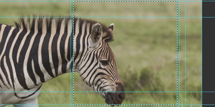 Photoshop: Creative Google+ Cover Photo