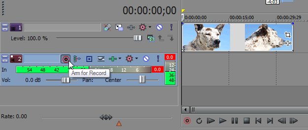 Arm Record Track Sony Vegas: Thoughts Effect