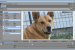 Sony Vegas: Quickly Duplicate Keyframes