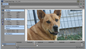 Sony Vegas: Quickly Duplicate Keyframes