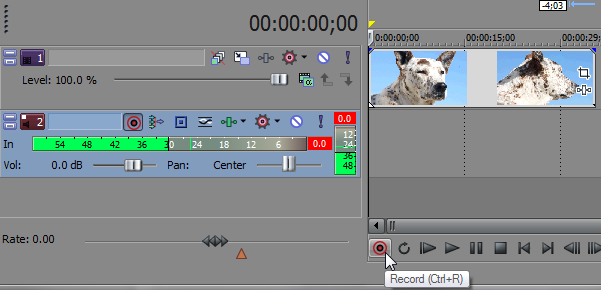 Record Button Sony Vegas: Thoughts Effect