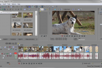 Sony Vegas: Remove Unused Media