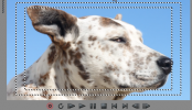 Sony Vegas: Video Preview Overlays