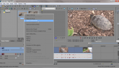 Sony Vegas: Highlight Timeline Events