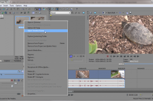 Sony Vegas: Highlight Timeline Events