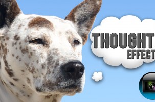 Sony Vegas: Thoughts Effect