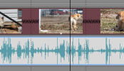 Sony Vegas: Time Stretch