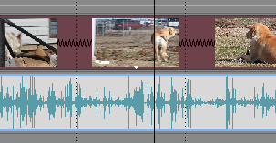 Sony Vegas: Time Stretch