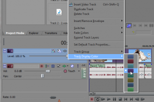 Sony Vegas: Assign Track Colors