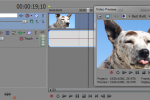 Sony Vegas: Assign Track Names