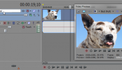 Sony Vegas: Assign Track Names