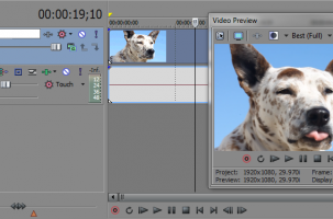 Sony Vegas: Assign Track Names