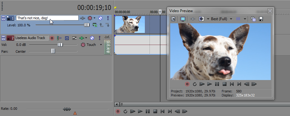 Name Tracks Sony Vegas: Assign Track Names