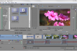 Sony Vegas: Add Transition to Multiple Events