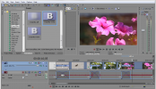 Sony Vegas: Add Transition to Multiple Events