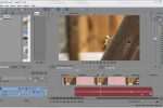 Sony Vegas: Remove from Group