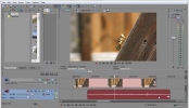 Sony Vegas: Remove from Group