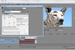 Sony Vegas: Override Window Docking