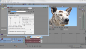 Sony Vegas: Override Window Docking