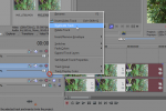 Sony Vegas: Duplicate Tracks