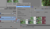 Sony Vegas: Duplicate Tracks