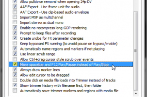 Sony Vegas: Spacebar/F12 Play Settings