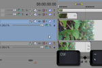 Sony Vegas: Default Track Height