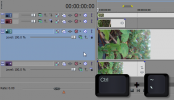 Sony Vegas: Default Track Height