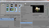 Sony Vegas: Quickly Rotate Multiple Files