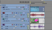 Sony Vegas: Group Tracks