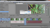 Sony Vegas: Insert Time