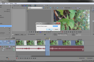 Sony Vegas: Insert Time