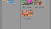 Sony Vegas: Sort Your Media with Bins
