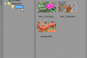 Sony Vegas: Sort Your Media with Bins